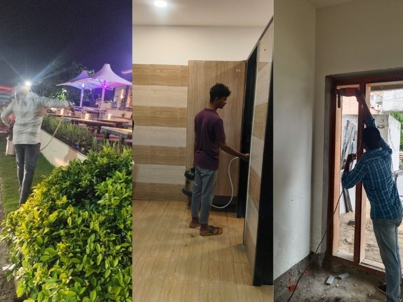 Pest Control Gallery 1